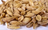(image for) Acid Malt Crushed