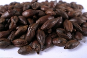 (image for) Carafa III Malt Crushed