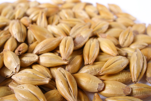 (image for) Light Crystal Malt Crushed