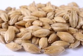 (image for) Lager Malt Crushed