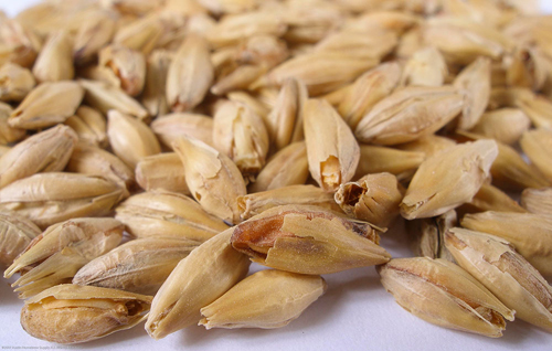 (image for) Munich Malt Crushed