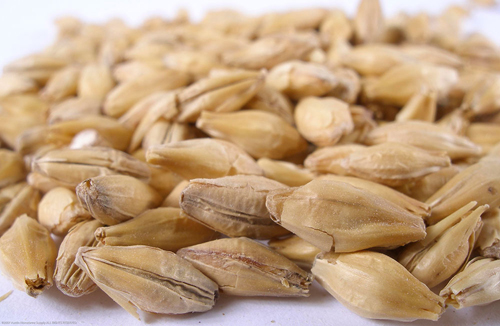 (image for) Vienna Malt Crushed